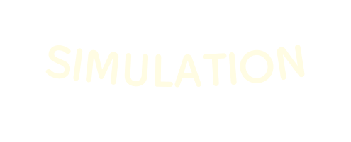 Simulation