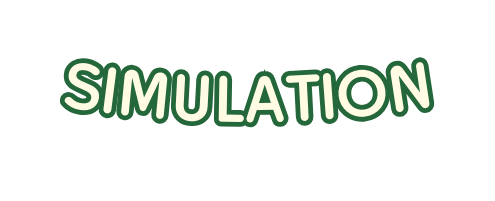 Simulation